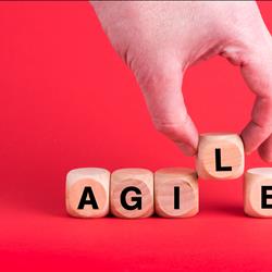 At Least 10 Ways that you can be AGILE, even if you&#39;re not!